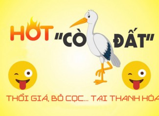 Quy định mới về đấu giá đất tại Thanh Hóa nhằm hạn chế cò đất bỏ cọc