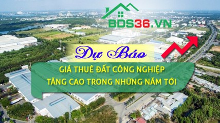 Dự báo giá thuê đất công nghiệp tăng cao trong những năm tới