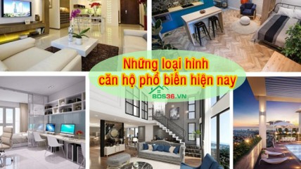 Khái niệm và đặc điểm của những căn hộ phổ biến hiện nay