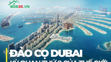 Đảo Cọ điểm đến du lịch Dubai không thể bỏ qua