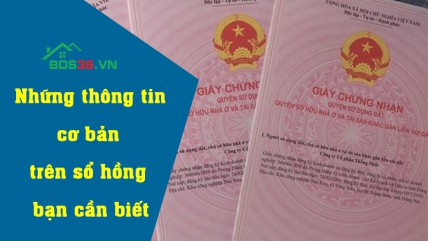 Những thông tin cơ bản trên sổ hồng bạn cần biết