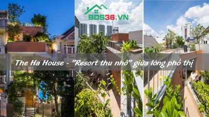 The Ha House - "Resort thu nhỏ" giữa lòng phố thị