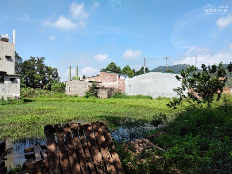 Bán đất chính chủ đẹp địa thế gần khu vực nhà máy Z111 Hoằng Trung Hoằng Hóa, Thanh Hóa