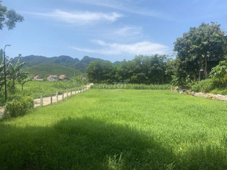 Bán lô đất sát khu B Sun Group Bến En-Như Thanh-Thanh Hóa