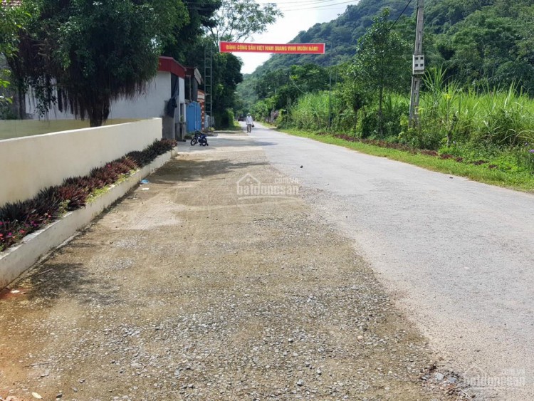 Bán đất đấu giá tại huyện Cẩm Thủy Tỉnh Thanh Hóa Giá Rẻ