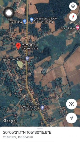 Đất chính chủ mua ở hoặc đầu tư sinh lời tại Cẩm Thủy, Thanh Hóa