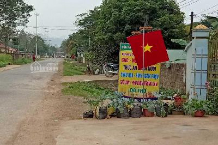 Đất nền TL518 Xã Lam Sơn Huyện Ngọc Lặc Thanh Hóa Giá bèo
