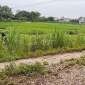 Bán gấp đất ở xã Thọ Sơn- Huyện Triệu Sơn-Thanh Hóa