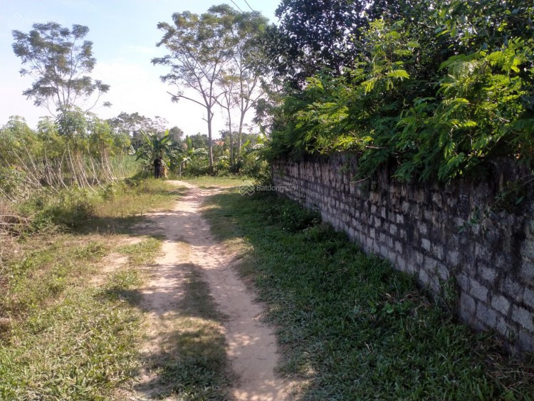 Bán đất gần sân bay Sao Vàng - Xã Xuân Hưng, Thọ Xuân, Thanh Hóa