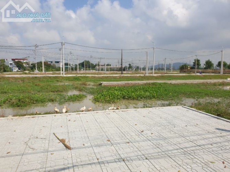 Cần bán đất nền giá đẹp tại xã Đông Yên huyện Đông Sơn Thanh Hóa