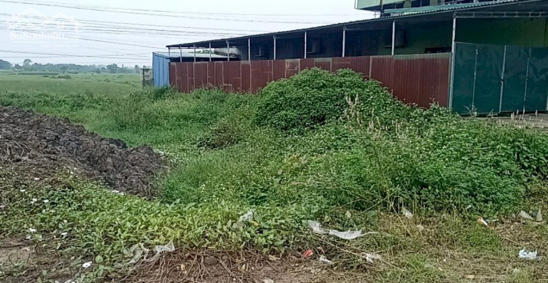 Chính chủ cần bán lô đất mặt đường quốc lộ 1A tại xã Quảng Bình, Quảng Xương, Thanh Hóa
