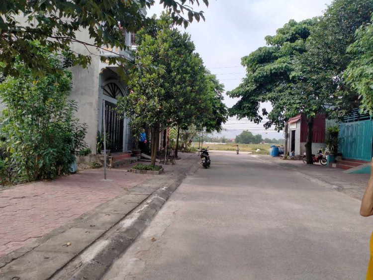 Chính chủ bán đất tái định cư phường Tĩnh Hải, Nghi Sơn, Thanh Hóa, 75m2