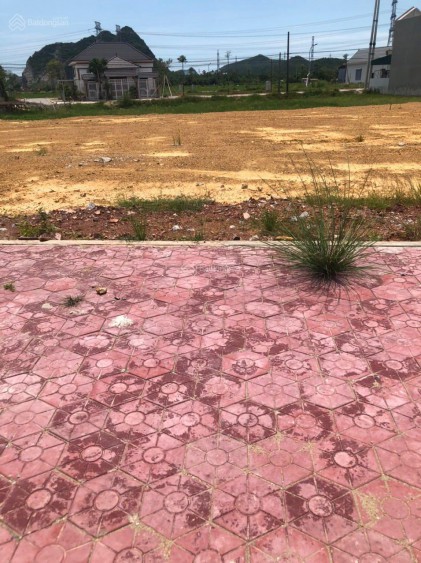 Chính chủ cần bán đất phân lô tại Xã Trường Lâm, Nghi Sơn, Thanh Hoá