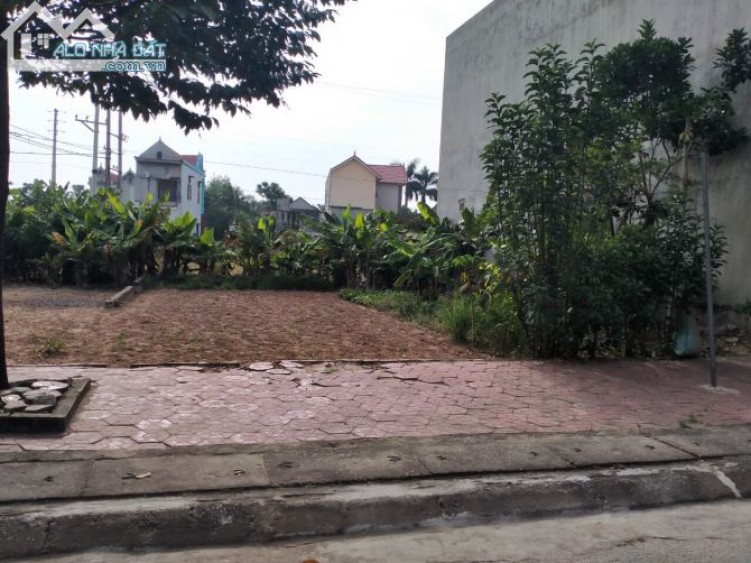 Chính chủ bán đất tái định cư Phường Tĩnh Hải, thị xã Nghi Sơn, Thanh Hóa,75 m2