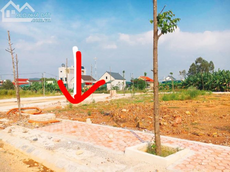 Bán GẤP đất gần uỷ ban Tân Trường, Thị Xã Nghi Sơn, Thanh Hoá, 120m2, giá 870tr, SHR