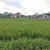 Bán đất Xã Đa Lộc Huyện Hậu Lộc Tỉnh Thanh Hóa 12m mặt đường Tỉnh Lộ 526