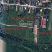 Cần Bán Gấp đất Trang Trại 35 Ha Tại Thanh Hoá, Gần Sân Bay Thọ Xuân