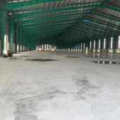 Nhà xưởng trong KCN Nghi Sơn - Thanh Hoá giá siêu rẻ