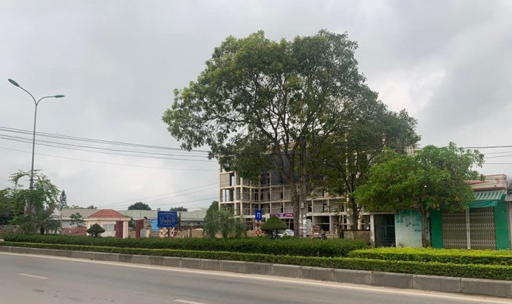 Bán nhanh lô đất tại mặt đường Quốc lộ 47 mới, phường Quảng Thọ, TP Sầm Sơn