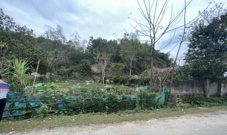 Đất Ở Đô Thị thổ cư 100% tại thị trấn Lang Chánh 7,5x20m