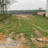 Bán đất đầu tư Triệu Sơn-Thanh Hóa diện tích 350m2