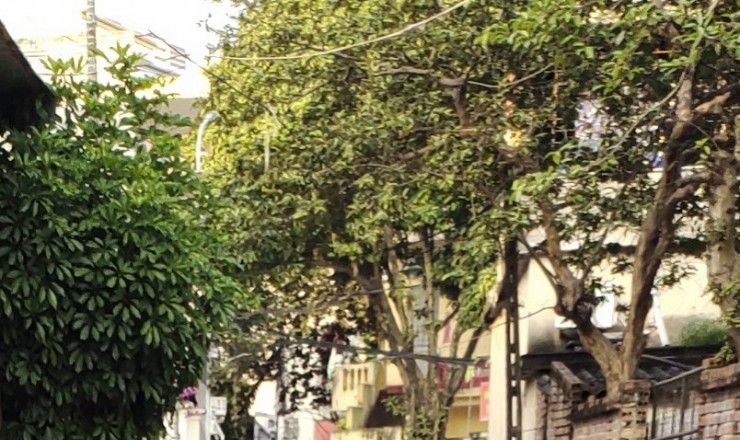 Bán Nhà Giá  RẺ ngay trung tâm Tp Thanh Hóa ô tô vào ngõ