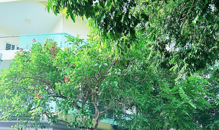 NHÀ ĐẸP - GIÁ TỐT – BÁN NHANH CĂN  Nhà Hai Mặt Tiền Tại  Đường 39m  Phường Tân Sơn, TP Thanh Hoá