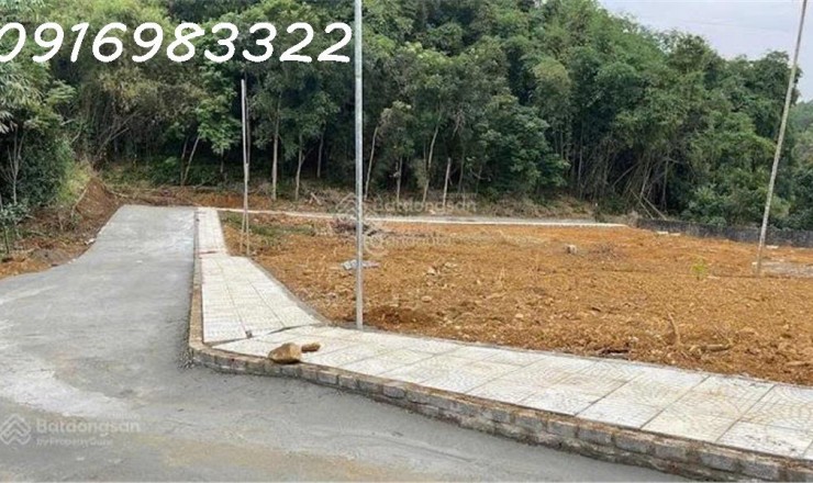 Chuyển Nhượng Lô Đất Nền Từ 180-300M2 Tại Thạch Thành, Thanh Hóa