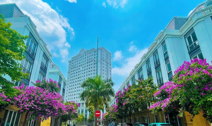 Cho thuê căn hộ dịch vụ ngắn hạn tai TP Thanh Hoá