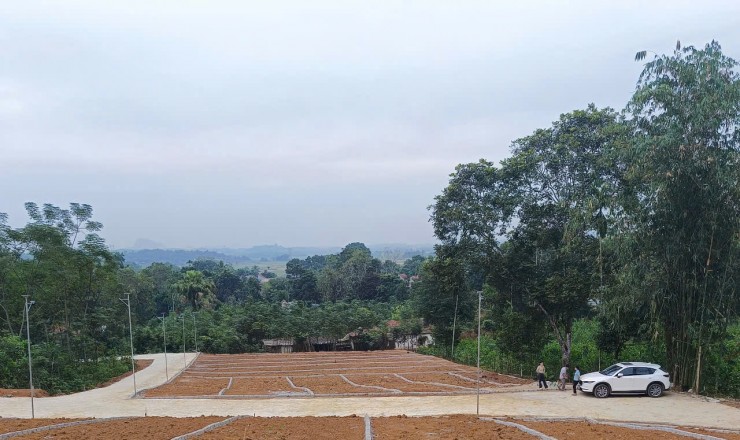 Đất nền cạnh đường Hồ Chí Minh Ngọc Lặc Thanh Hóa giá rẻ cần thanh khoản gấp. Giá chưa đến 300 triệu một lô.
