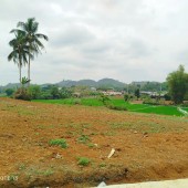 Đất nền Thanh Hóa giá F0, Vị trí gần Sân bay Thọ Xuân, gần khu công nghiệp Lam Sơn Thanh Hóa.