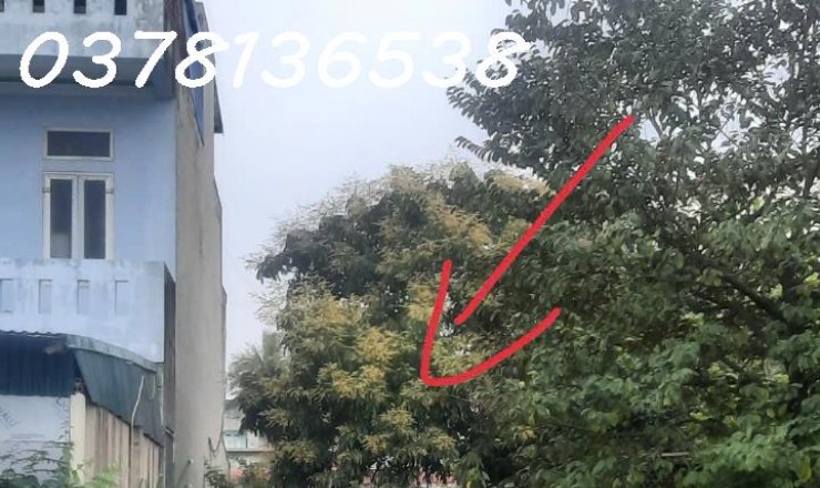 Bán đất, sổ hồng, Tào Xuyên, 86m2, mặt tiền 6m đường 20m KCN kết hợp đô thị