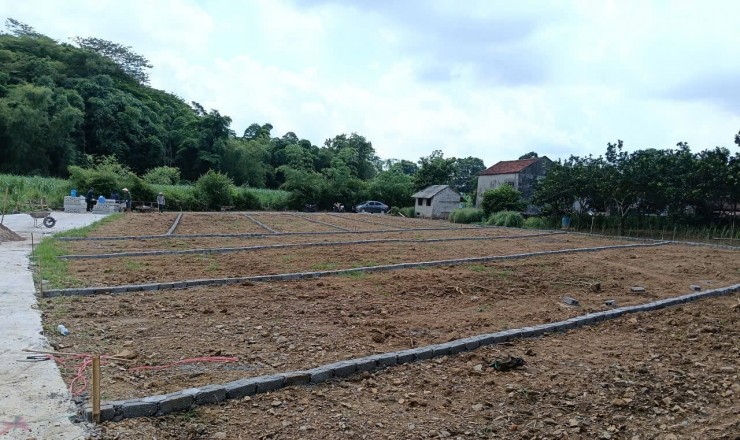 BÁN ĐẤT NỀN GIÁ RẺ - CÓ SỔ ĐỎ - XÃ THẠCH THÀNH - THANH HÓA