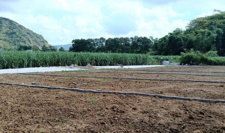 BÁN ĐẤT NỀN GIÁ RẺ - CÓ SỔ ĐỎ - XÃ THẠCH THÀNH - THANH HÓA