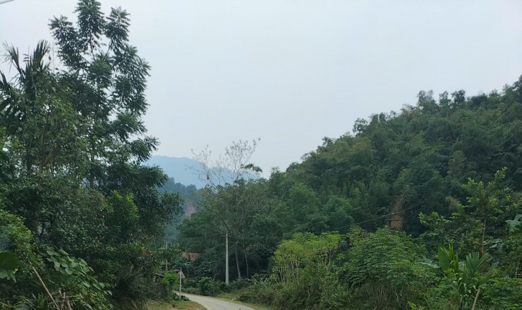 PHÁT MẠI TÀI SẢN TẠI THÔN XOAY LUỒI, XÃ ĐIỀN QUANG, TỈNH THANH HÓA