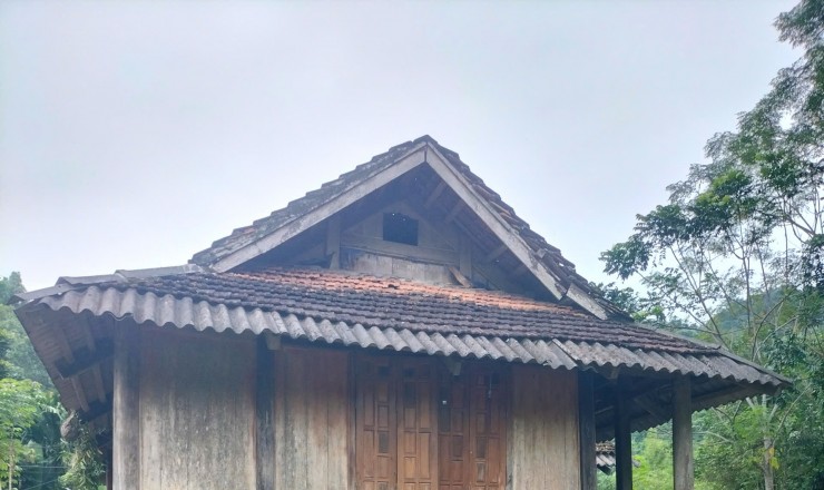 PHÁT MẠI TÀI SẢN TẠI THÔN XOAY LUỒI, XÃ ĐIỀN QUANG, TỈNH THANH HÓA