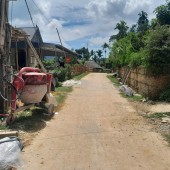 Phát mại tài sản 314m đất tại Thôn Chiềng Mới , xã Văn Nho, tỉnh Thanh Hóa