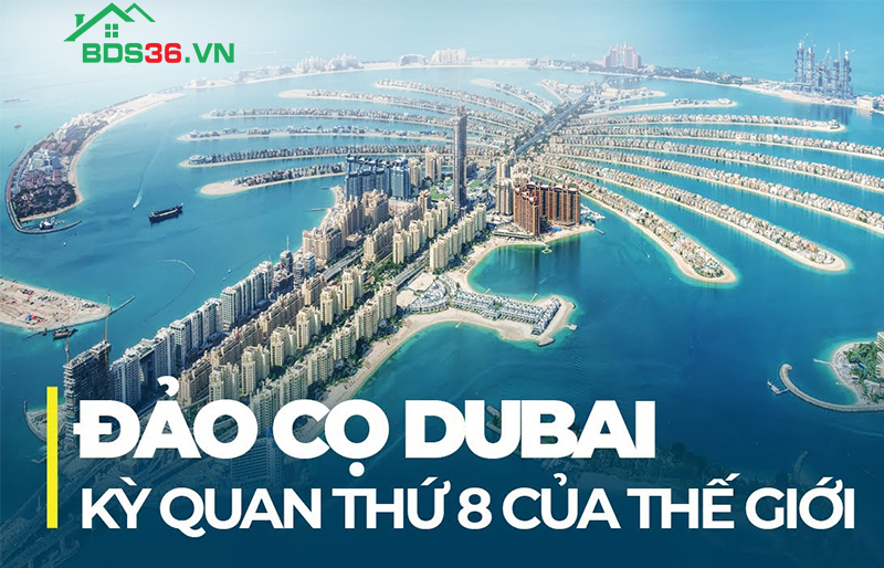 Đảo Cọ điểm đến du lịch Dubai không thể bỏ qua