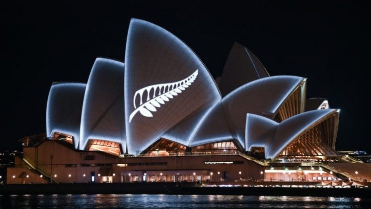 Lá dương xỉ bạc New Zealand bừng sáng trên nóc nhà hát 