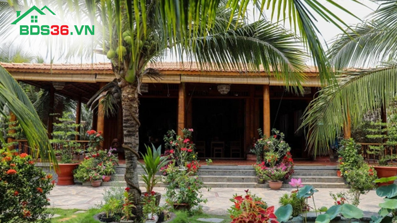 Ngôi nhà được làm từ 4000 cây dừa 